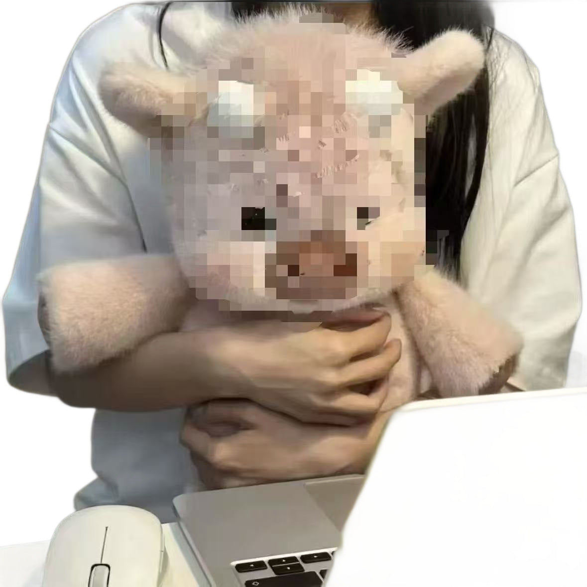 Cross-Border Running-Themed Cute Pig Plush Doll, Scottish Highland Pig Pillow Toy, Children's Gift Toy, Calf in Khaki Color - image 5