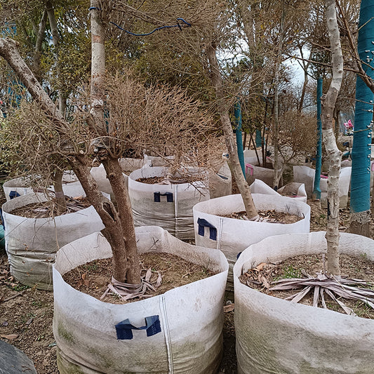 Non-Woven Fabric Planting Bags, Nursery Bags, Nutrient Bags, Extra Tall and Thickened Version, White and Black Nursery Tree Planting Bags - image 2