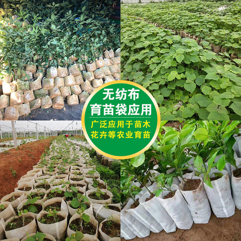 Wholesale Non-Woven Nursery Bags, Biodegradable Planting Bags, Hot-Selling Thickened Container Pots, Gardening Planting Bags - image 4