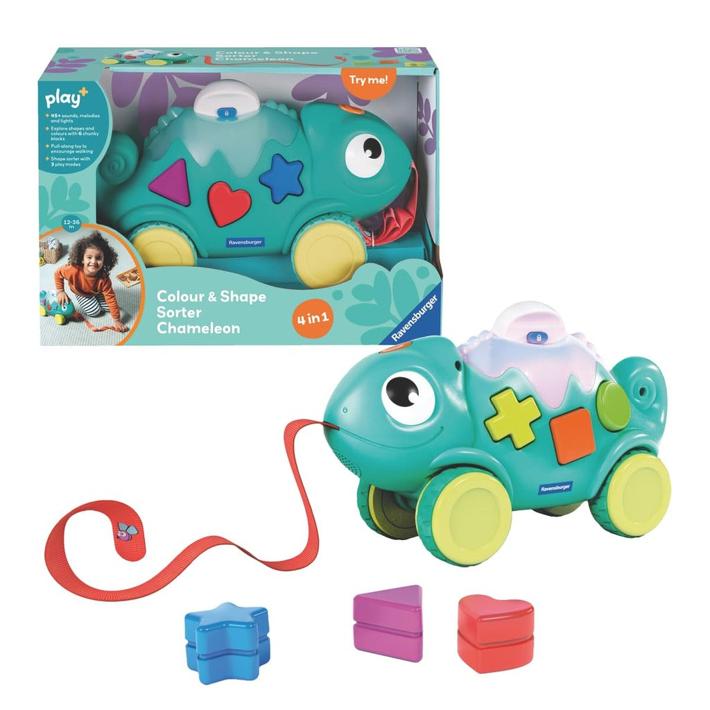 Color & Shape Sorter: Chameleon