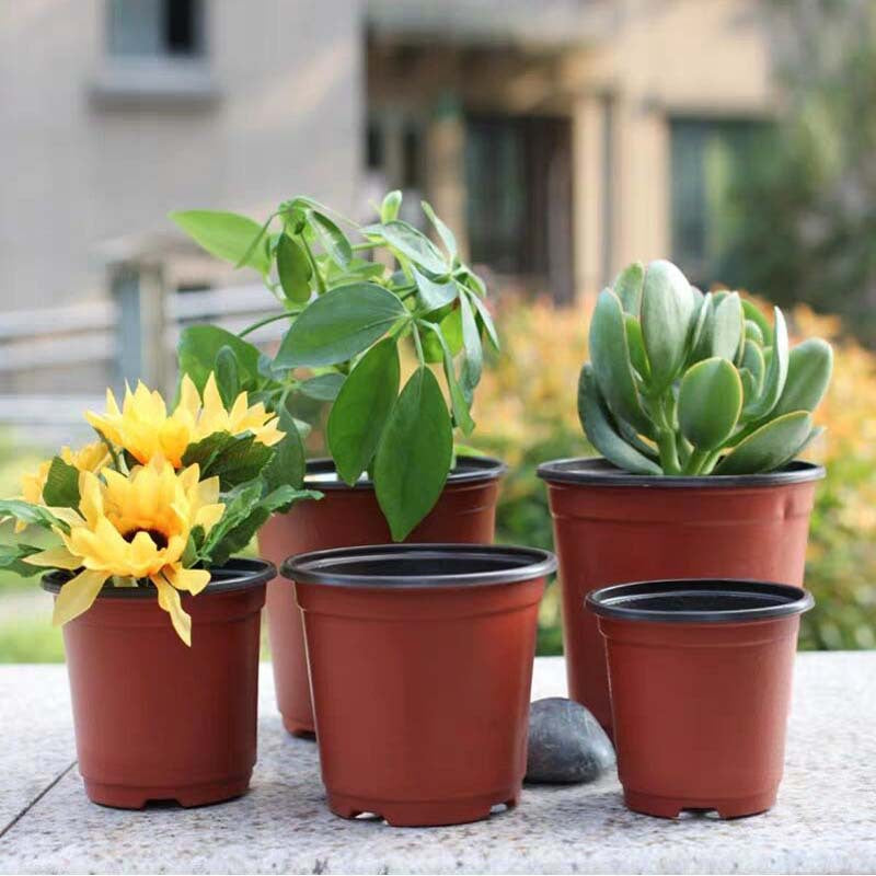 Two-color flowerpot planting seedling nutrition bowl factory batch flower base nursery disposable thickened two-color seedling pot - image 3