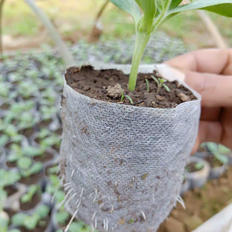 In-Stock Non-Woven Fabric Nursery Bags, Nursery Container Bags, Nutrient Bags, Tree Seedling Cups, Planting Bags, Biodegradable - image 3