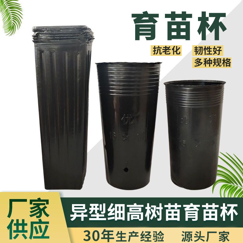 Nutrition Pot Nursery Cup Navel Orange Cup Citrus Cup Thin Rectangular Black Thickened and Highened Plastic Planting Pot Nursery Pot - image 2