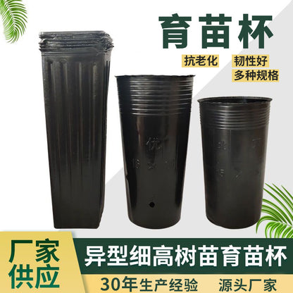 Nutrition Pot Nursery Cup Navel Orange Cup Citrus Cup Thin Rectangular Black Thickened and Highened Plastic Planting Pot Nursery Pot - image 2