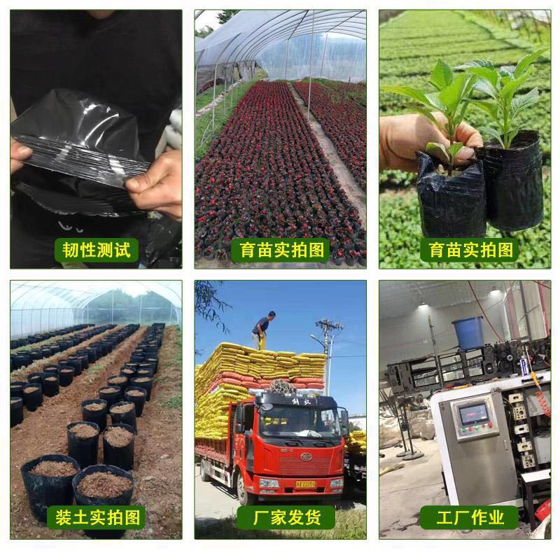 Nutrition Pot Nursery Cup Navel Orange Cup Citrus Cup Thin Rectangular Black Thickened and Highened Plastic Planting Pot Nursery Pot - image 3