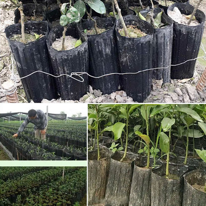 Nutrition Pot Nursery Cup Navel Orange Cup Citrus Cup Thin Rectangular Black Thickened and Highened Plastic Planting Pot Nursery Pot - image 4