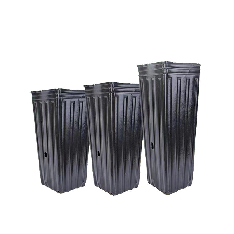 Nutrition Pot Nursery Cup Navel Orange Cup Citrus Cup Thin Rectangular Black Thickened and Highened Plastic Planting Pot Nursery Pot - image 5