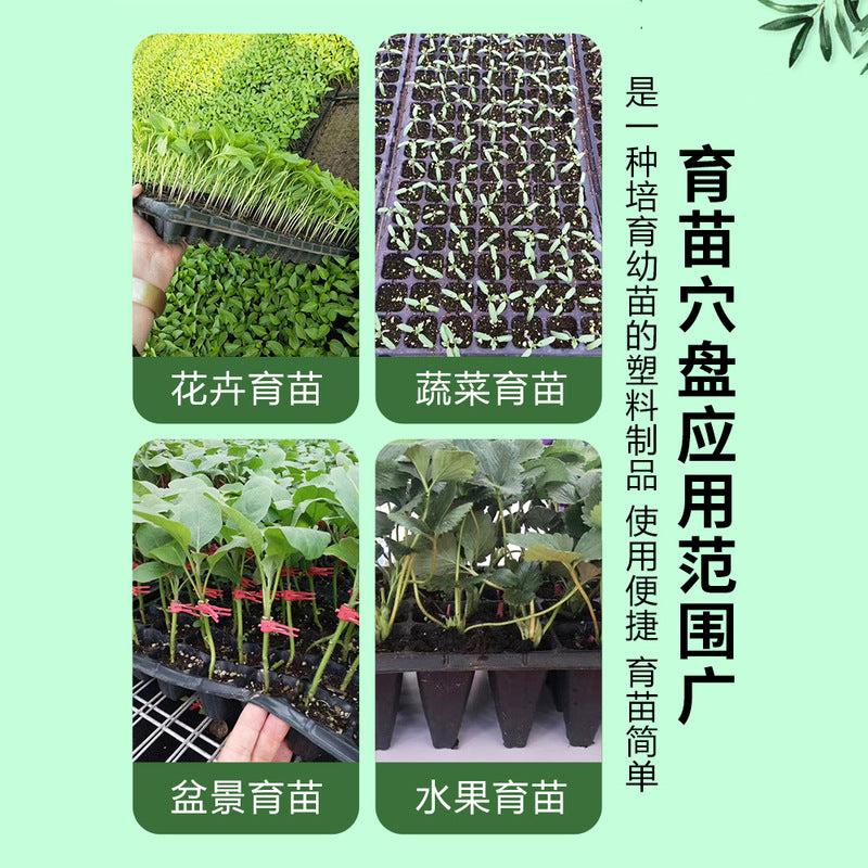 Seedling Trays, Cuttings Nursery Boxes, Succulent Seedling Pots, Nutrient Bowls, Seedling Trays for Vegetables 2 - image 4