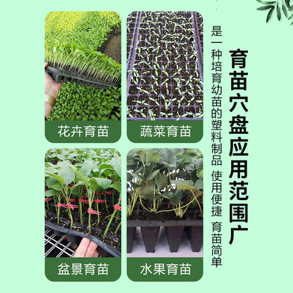 Seedling Trays, Cuttings Nursery Boxes, Succulent Seedling Pots, Nutrient Bowls, Seedling Trays for Vegetables 2 - image 4