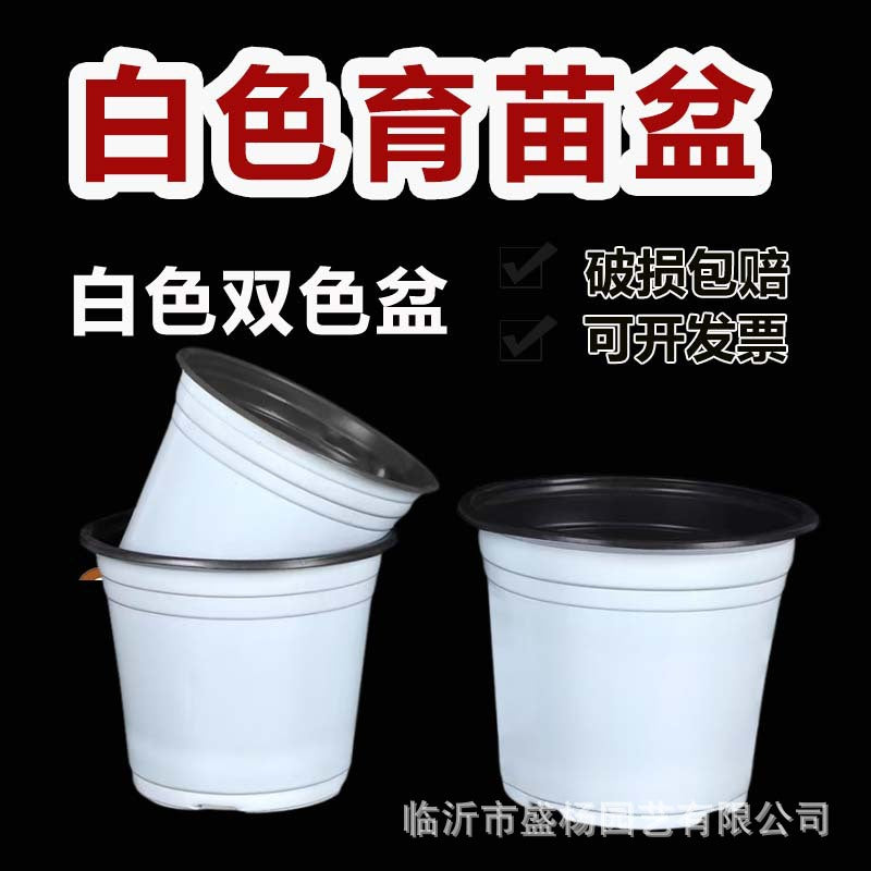 White two-color flowerpot planting seedling nutrition bowl factory batch flower base nursery high quality two-color seedling pot - image 1
