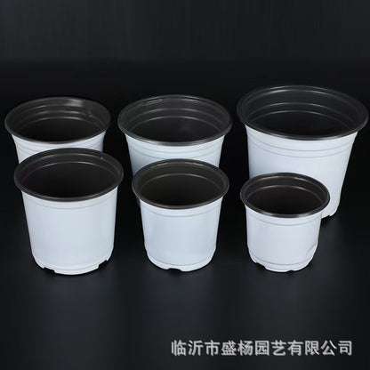 White two-color flowerpot planting seedling nutrition bowl factory batch flower base nursery high quality two-color seedling pot - image 2
