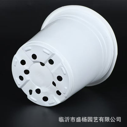 White two-color flowerpot planting seedling nutrition bowl factory batch flower base nursery high quality two-color seedling pot - image 3