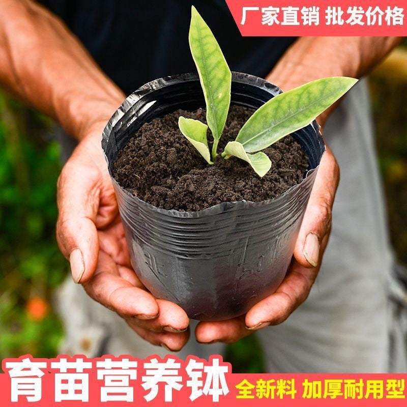 Plastic Disposable Black Nursery Bag Wholesale Nutrition Cup Nursery Cup Planting Pot Plastic Nursery Pot Nutrition Pot - image 2