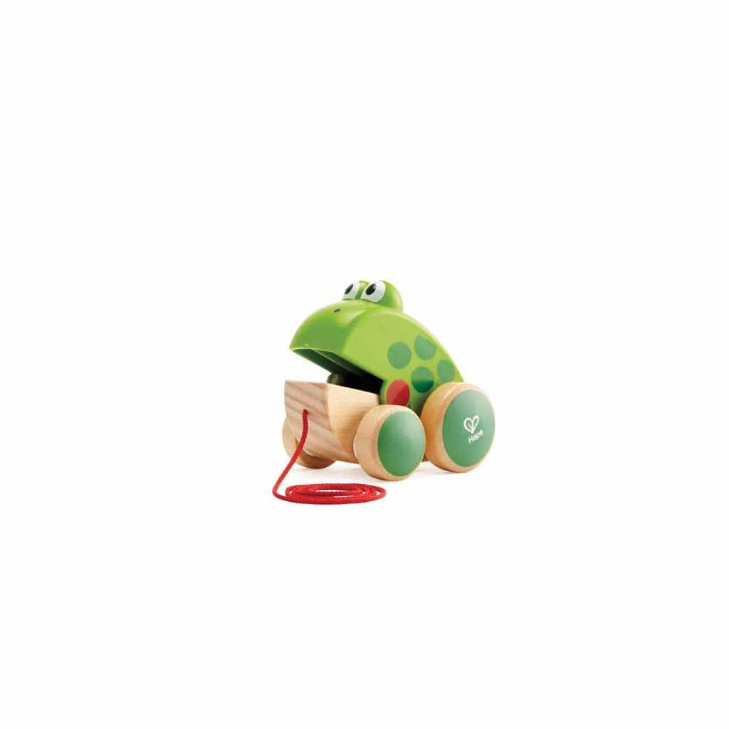 Frog Pull-Along Toy