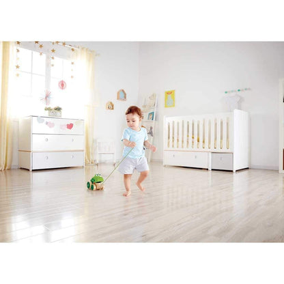 Frog Pull-Along Toy