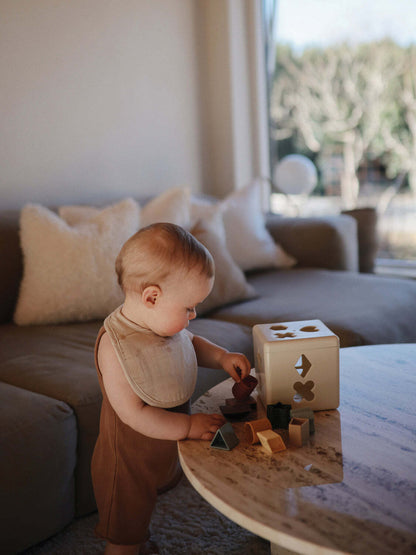 Shape Sorting Box
